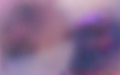 When education policy becomes political battleground in the media